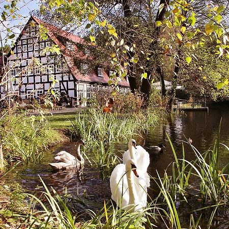 Springbach-Muehle Belzig Hotel Exterior foto